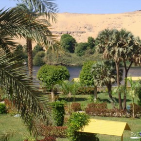 Botanical garden Aswan