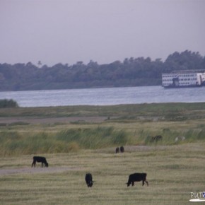 Edfu-->Kom Ombo