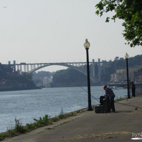 Arrábida Bridge