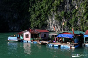 Halong bay 