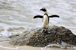 boulders beach 1