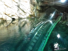 Shanghai Ocean Aquarium