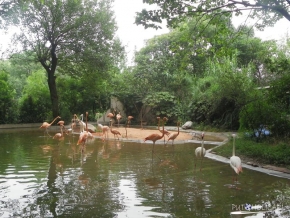 Shanghai Zoo