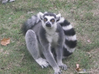 Shanghai Zoo