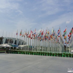 FINA World Championships - Waterpolo - Shanghai