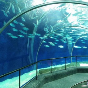 Shanghai Ocean Aquarium