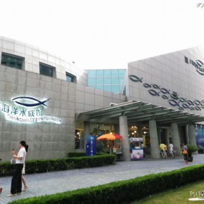 Shanghai Ocean Aquarium