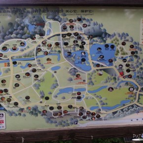 Shanghai Zoo