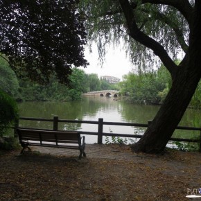 Shanghai Zoo