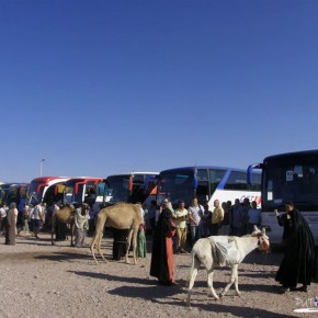 Hurghada--->Luxur