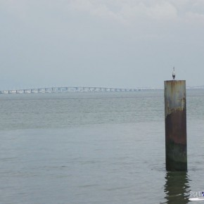 Vasco da Gama Bridge