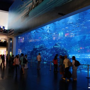 Dubai aquarium