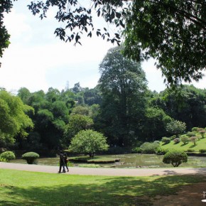 Royal Botanical Gardens - Peradeniya