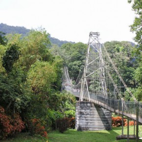 Royal Botanical Gardens - Peradeniya