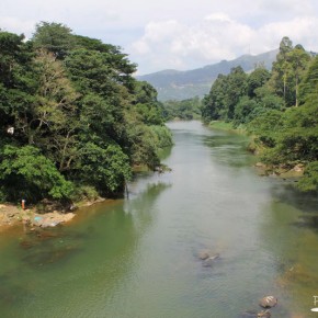 River Mahaweli