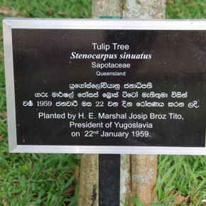 Royal Botanical Gardens - Peradeniya - Josip Broz Tito