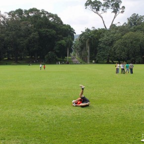 Royal Botanical Gardens - Peradeniya - Great Circle