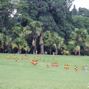 Royal Botanical Gardens - Peradeniya