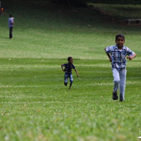 Royal Botanical Gardens - Peradeniya