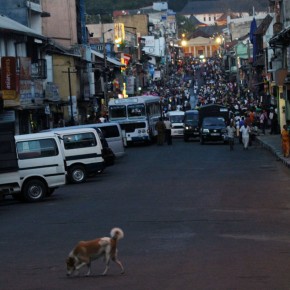 Kandy - Esala Perahera