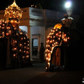 Esala Perahera