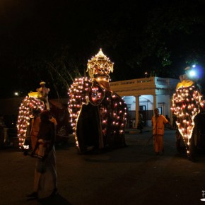 Esala Perahera