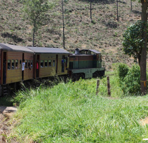 Kandy-->Nuwara Eliya