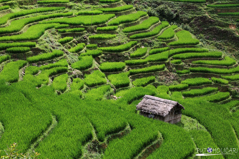 Good Morning Vietnam – Beautiful SAPA