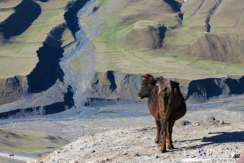 AZERBAJDŽAN – Xinaliq