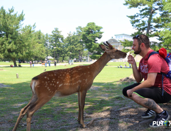 Nara (Japan)