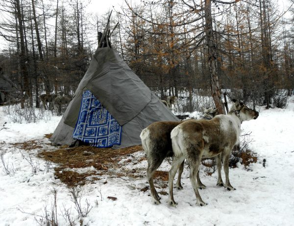 Priča iz mongolske šume: Čudnovati dječak Sora i njegov dobri prijatelj sob