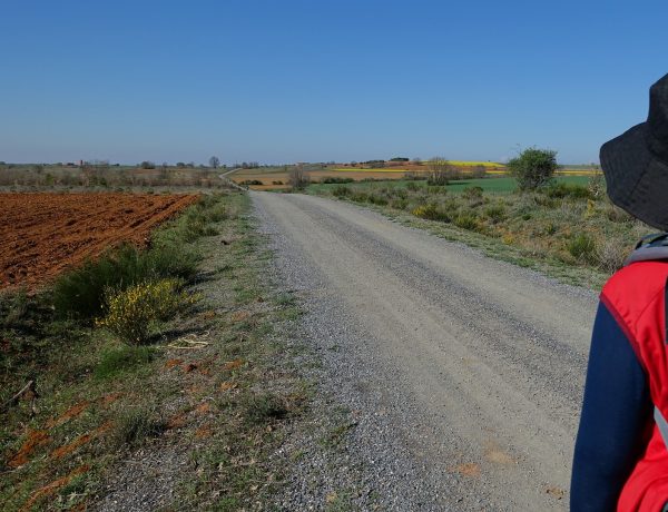 PUTOPISNO PREDAVANJE – Camino de Santiago