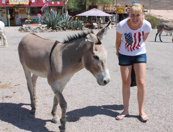 Posjetili smo Oatman, mjesto u Arizoni gdje vladaju magarci