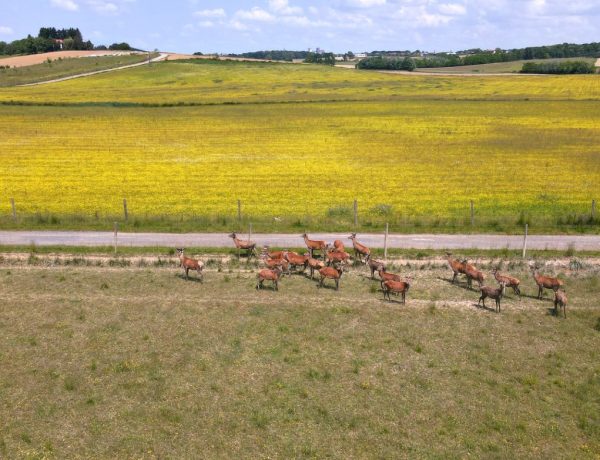 Blistave boje života u Bjelovarsko – bilogorskom kraju