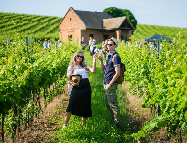 Posjeti Wine&Walk Baranja i uživaj u top vinima, hrani i idiličnoj prirodi Baranje